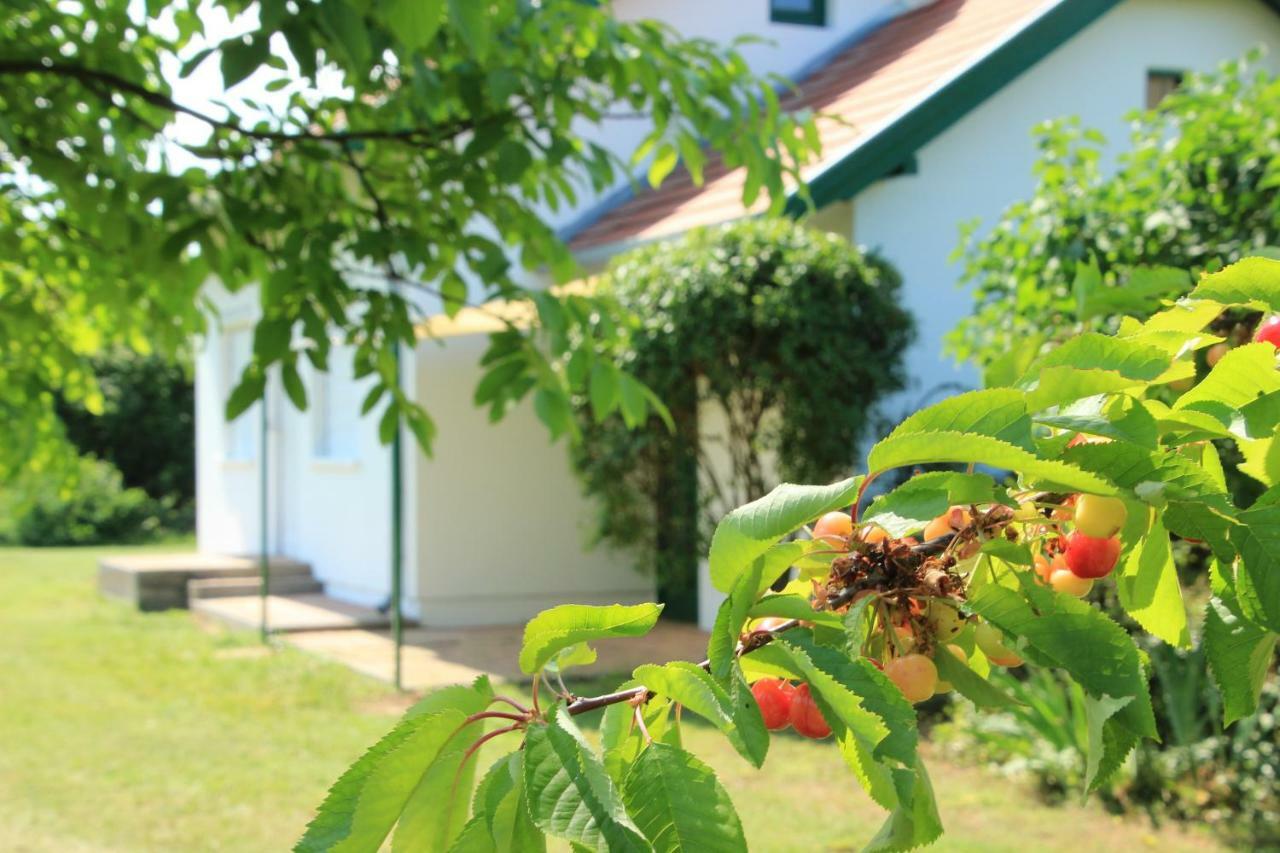 Szolohegyi Haziko - Cottage In The Vineyard Balatonszemes Exterior photo