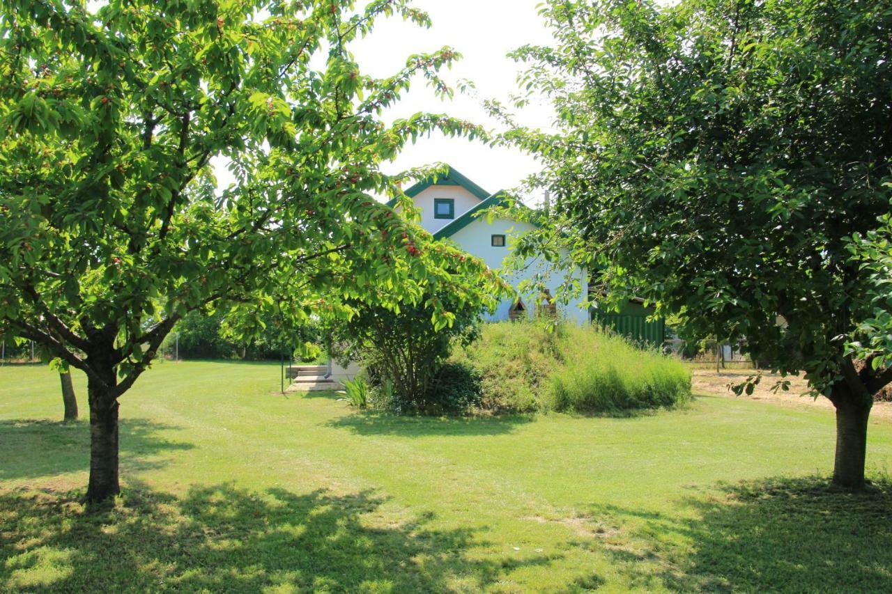 Szolohegyi Haziko - Cottage In The Vineyard Balatonszemes Exterior photo